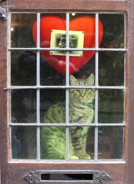 Ghent