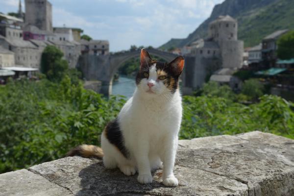 Mostar