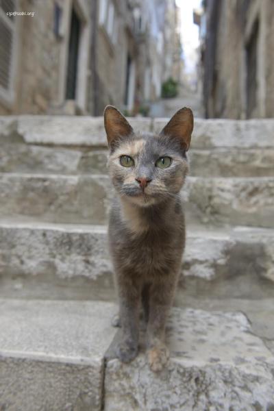 Dubrovnik