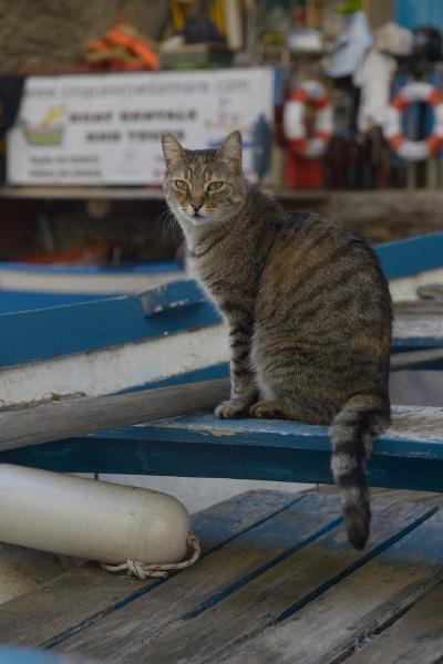 Cinque Terre