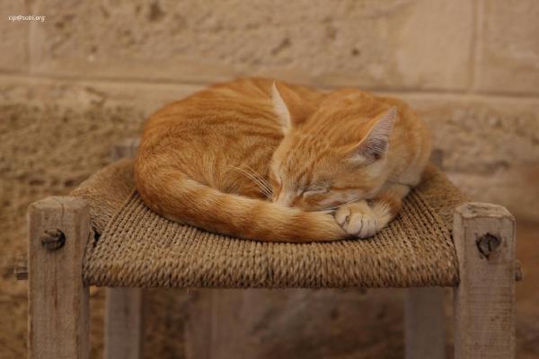 El Jem